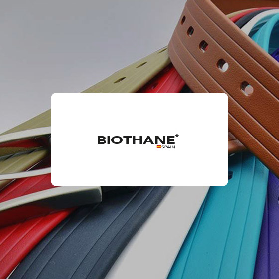 Branding Web proyectos biothane